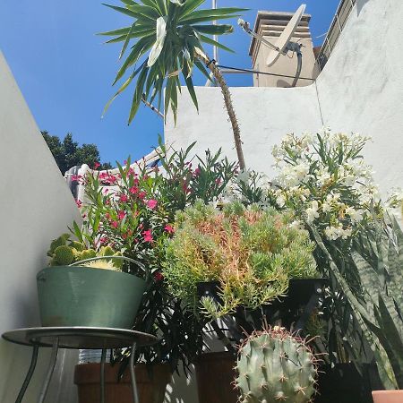 Historic Center Private Terrace Apartman Málaga Kültér fotó